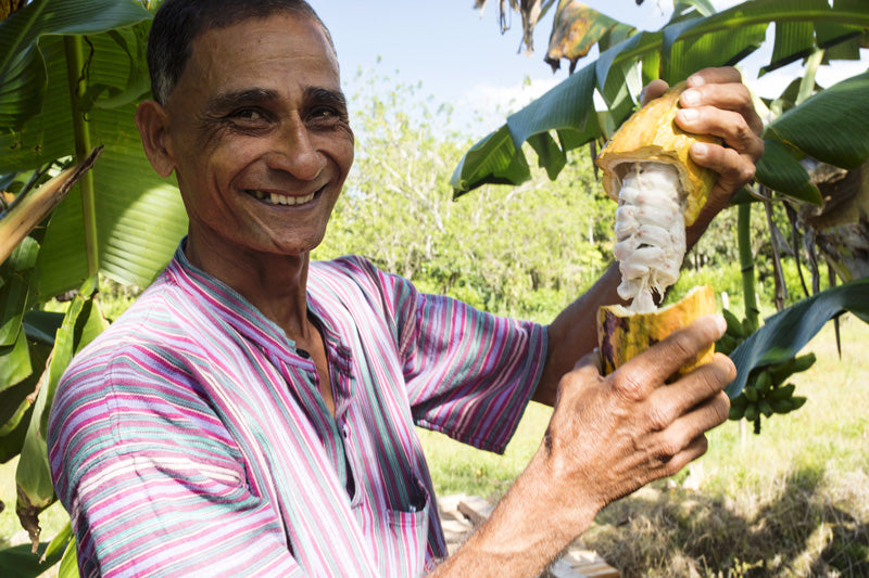 Man with Plant